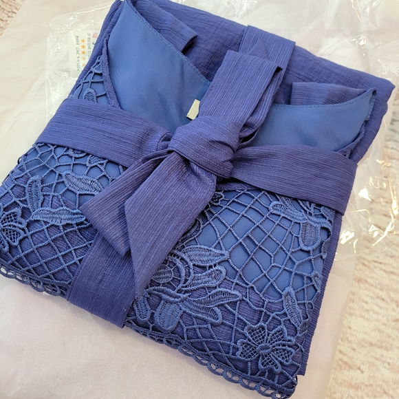 Cremiux Dresses & Skirts - NWT! CREMIEUX MARILYN BLUEBERRY DRESS (6)